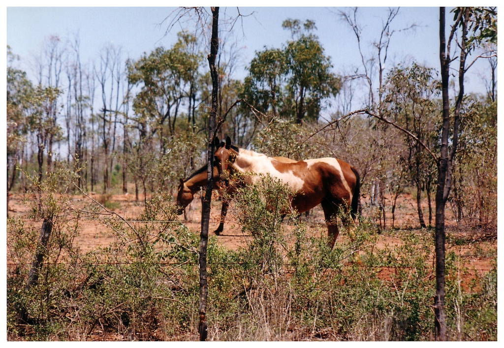 04 - Queensland (64).jpg